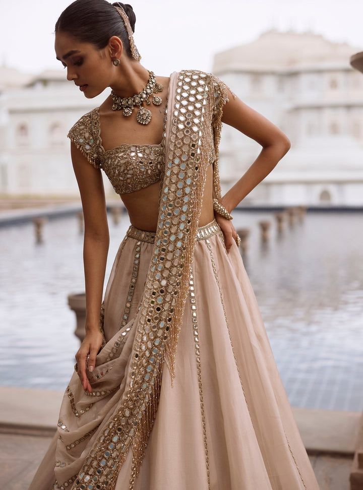 Vvani by Vani Vats Beige Gold Mirror Linear Organza LehengaFabilicious Fashion