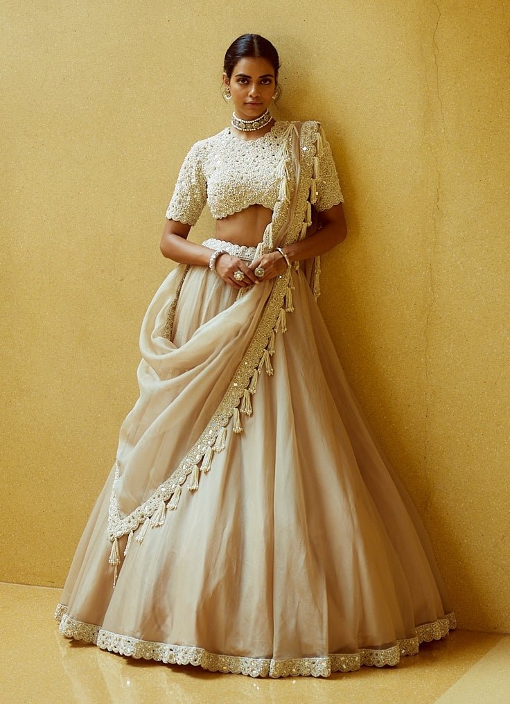 Beige gold organza lehenga for sister of the bride or groom
