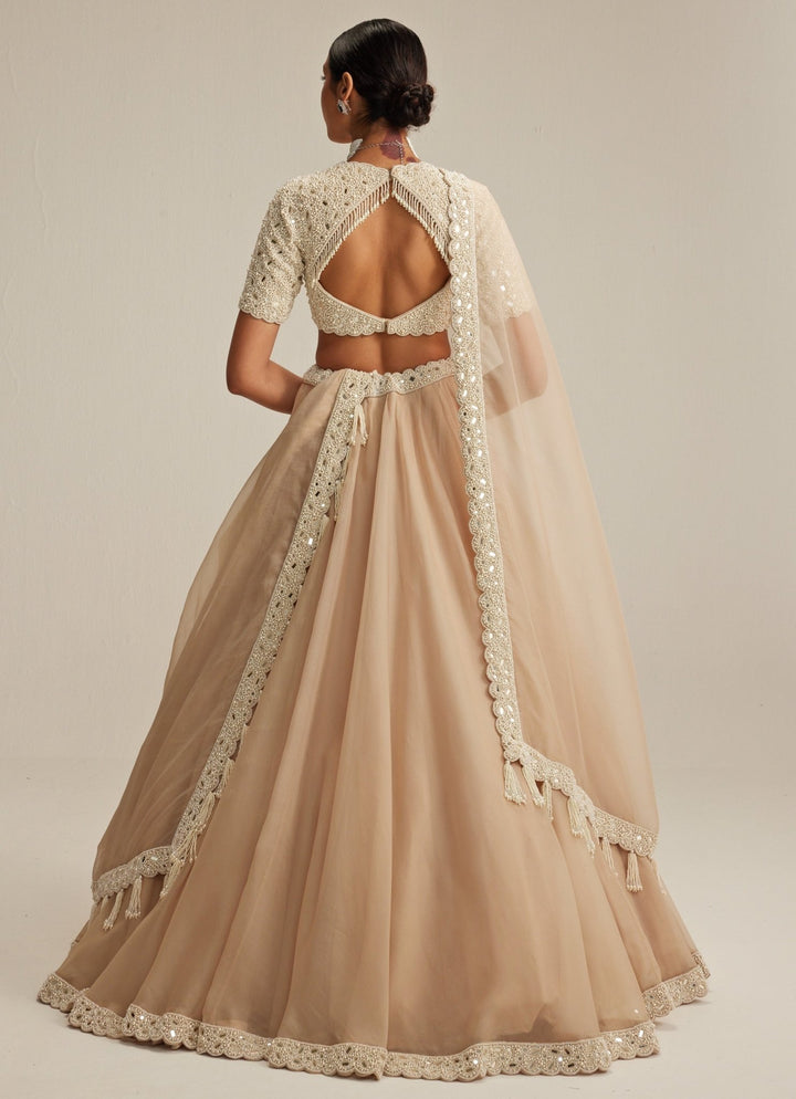 Beige Gold Organza Classic Lehenga Set Vvani by Vani Vats - Fabilicious Fashion