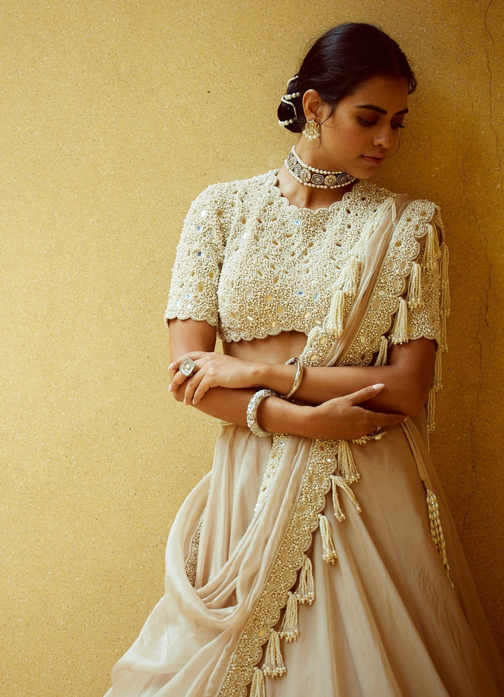 Beige Gold Organza Classic Lehenga Set Vvani by Vani Vats - Fabilicious Fashion