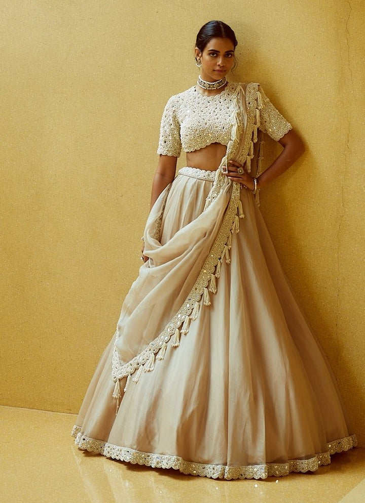 Beige Gold Organza Classic Lehenga Set Vvani by Vani Vats - Fabilicious Fashion