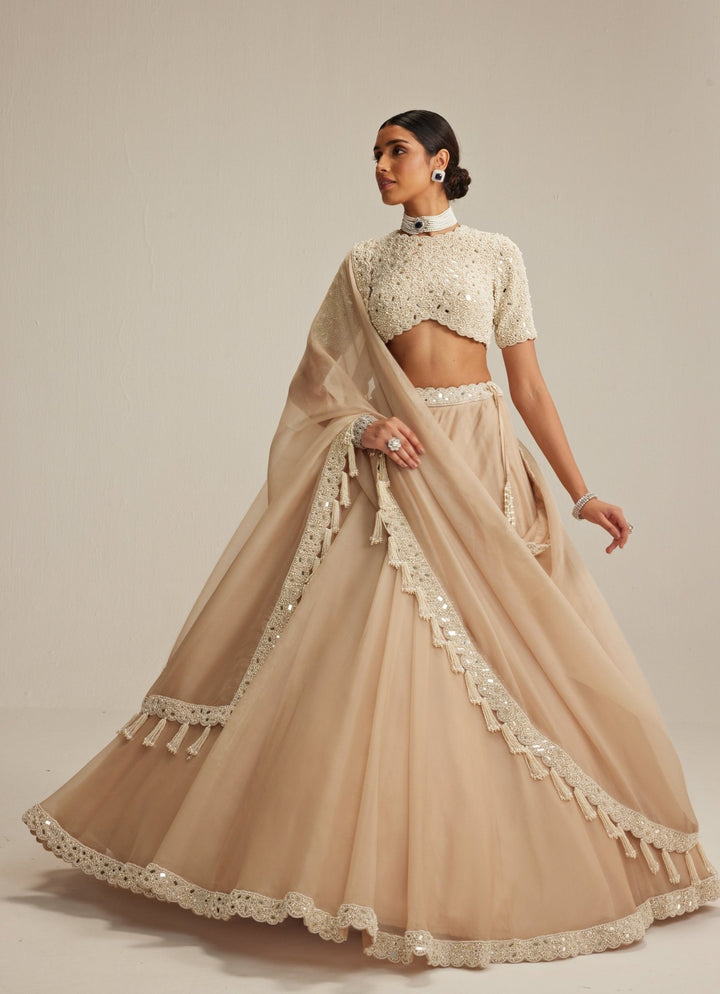 Beige Gold Organza Classic Lehenga Set Vvani by Vani Vats - Fabilicious Fashion