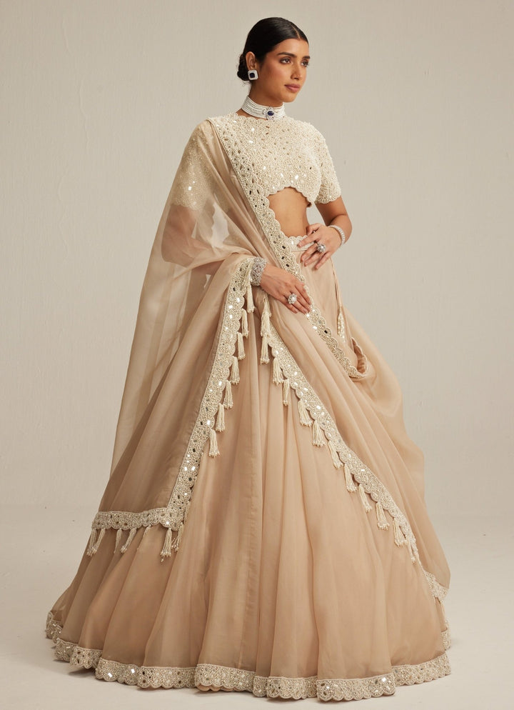Beige Gold Organza Classic Lehenga Set Vvani by Vani Vats - Fabilicious Fashion