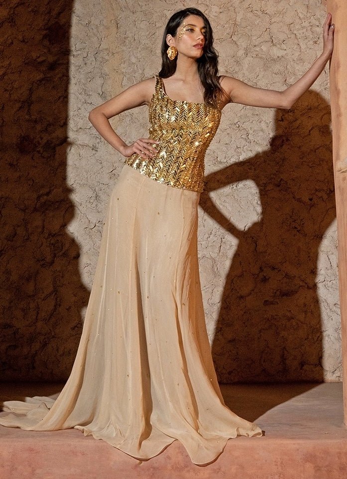 Beige Gold Organza Corset With Trail Skirt Set Silky Bindra - Fabilicious Fashion