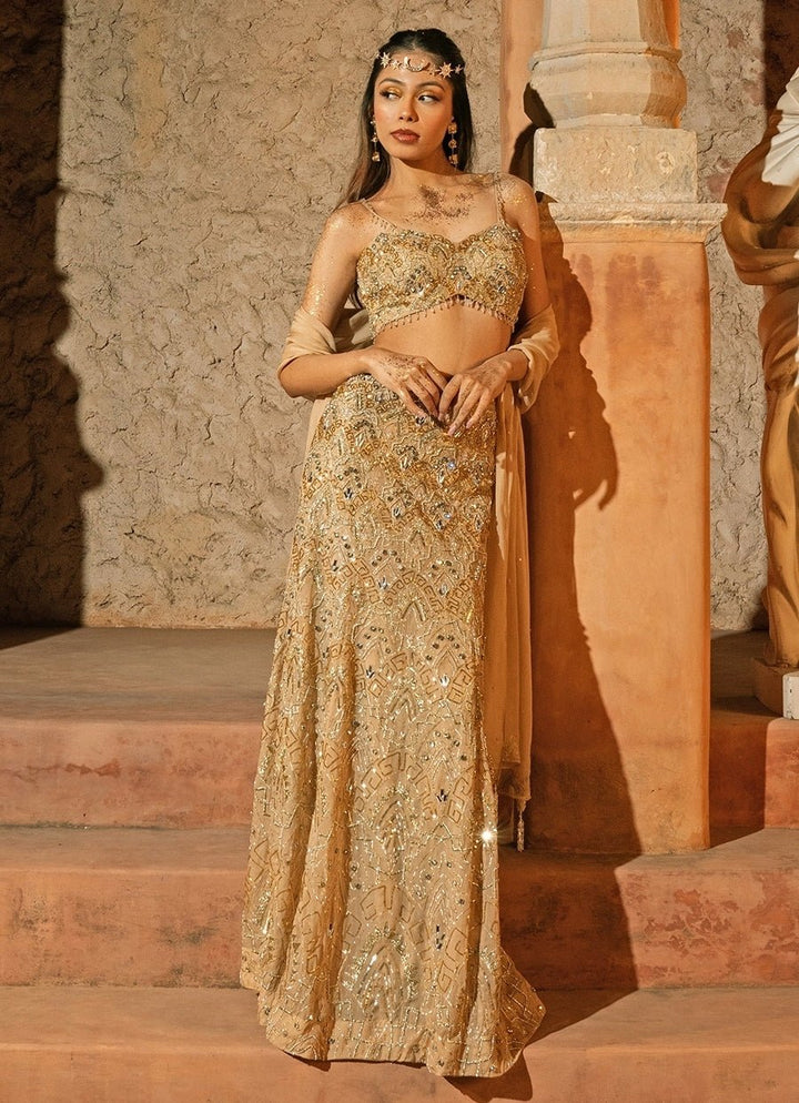 Beige Gold Organza Lehenga Set Silky Bindra - Fabilicious Fashion