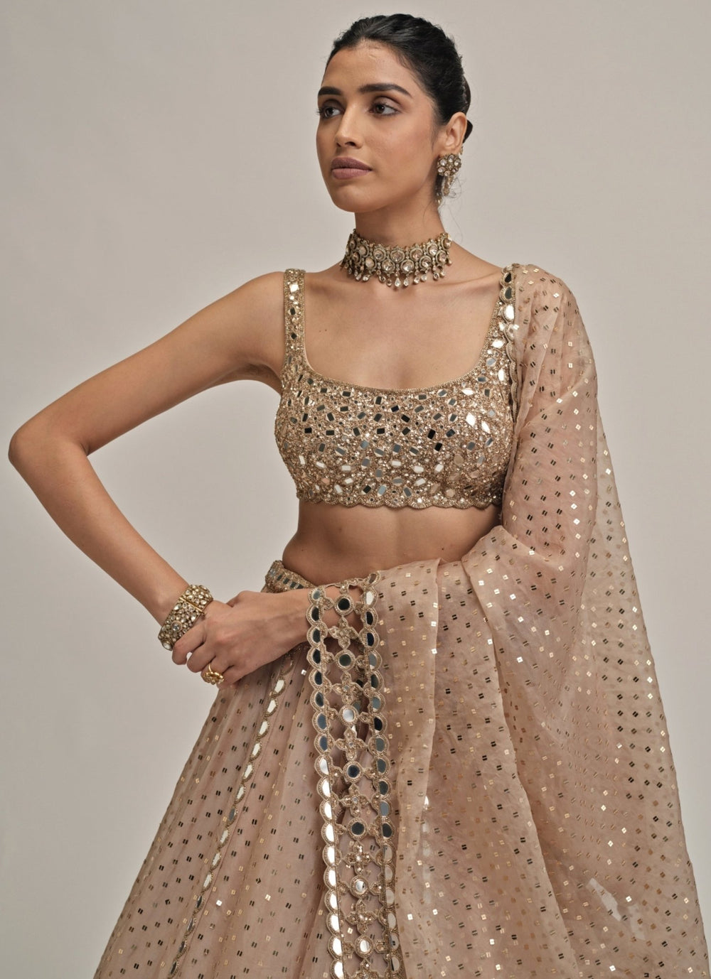 Vvani by Vani Vats Beige Gold Sequins Embroidered Organza LehengaFabilicious Fashion