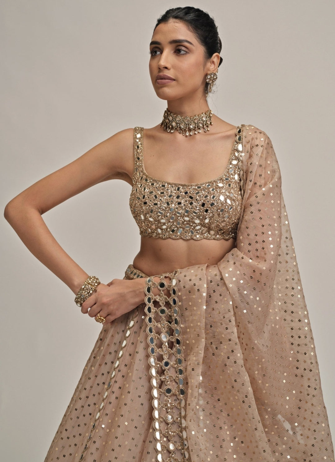 Vvani by Vani Vats Beige Gold Sequins Embroidered Organza LehengaFabilicious Fashion