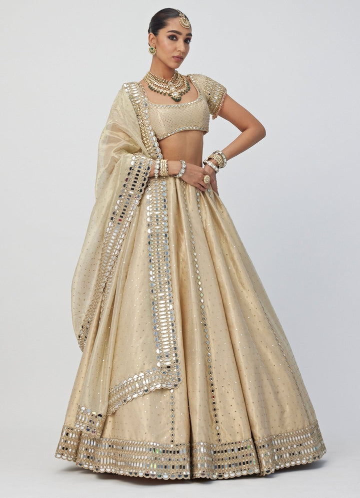 Beige Gold Shimmer Embroidered Organza Lehenga With Classic Blouse Vvani By Vani Vats - Fabilicious Fashion