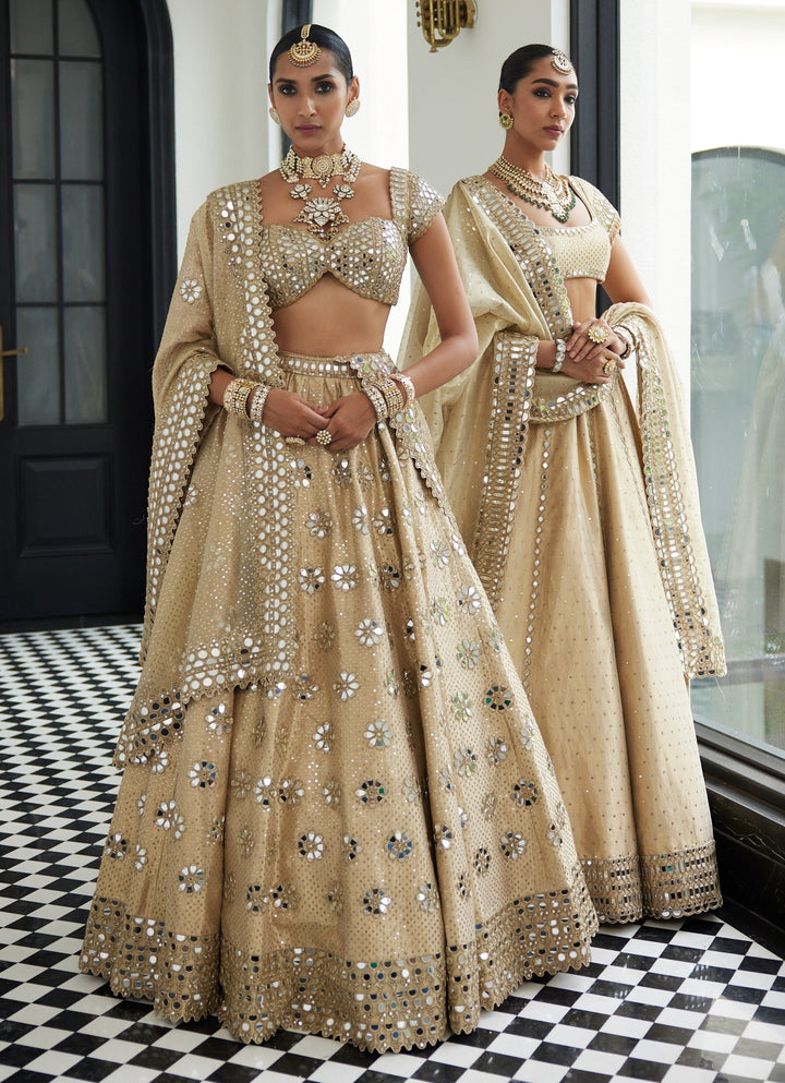 Beige Gold Shimmer Embroidered Organza Lehenga With Classic Blouse Vvani By Vani Vats - Fabilicious Fashion