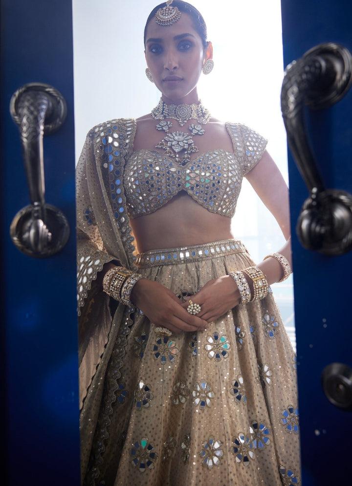 Beige Gold Shimmer Flower Mirror Motif Embroidered Organza Lehenga Set Vvani By Vani Vats - Fabilicious Fashion