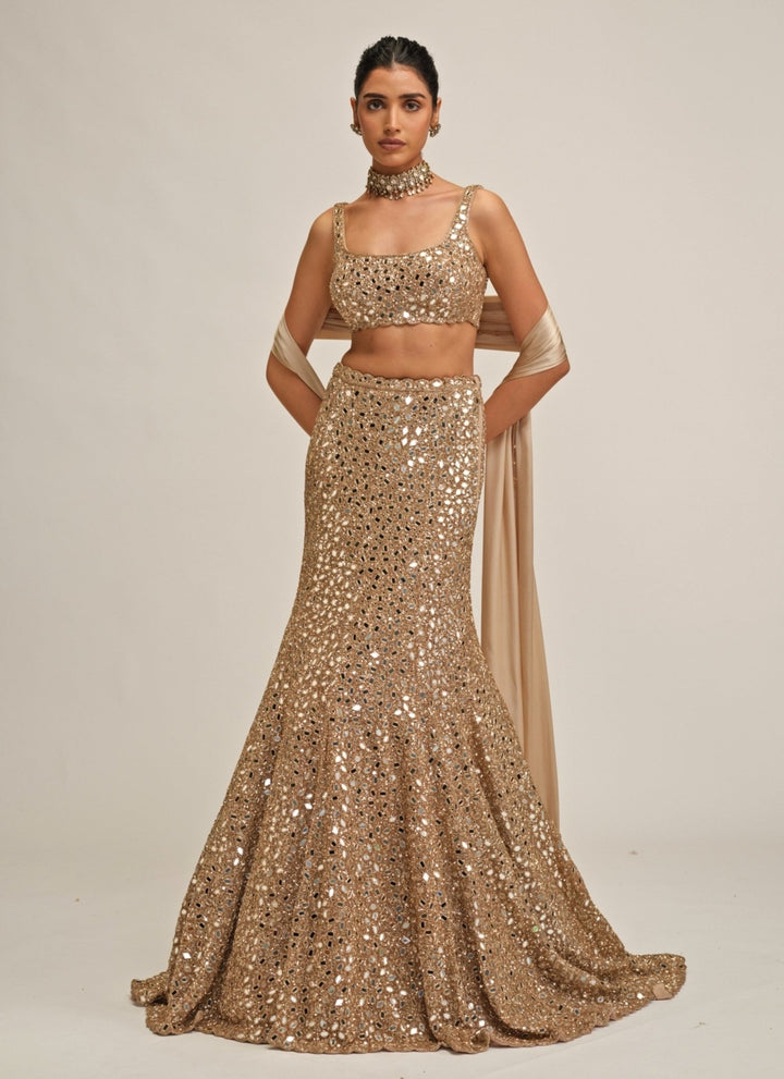 Vvani by Vani Vats Beige Gold Soft Net Mermaid LehengaFabilicious Fashion