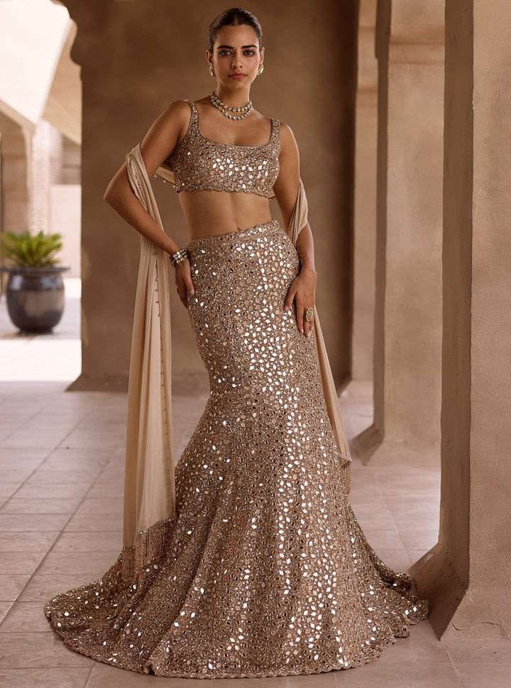 Vvani by Vani Vats Beige Gold Soft Net Mermaid LehengaFabilicious Fashion