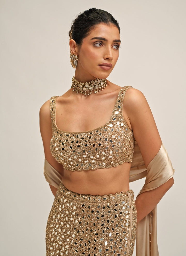 Vvani by Vani Vats Beige Gold Soft Net Mermaid LehengaFabilicious Fashion