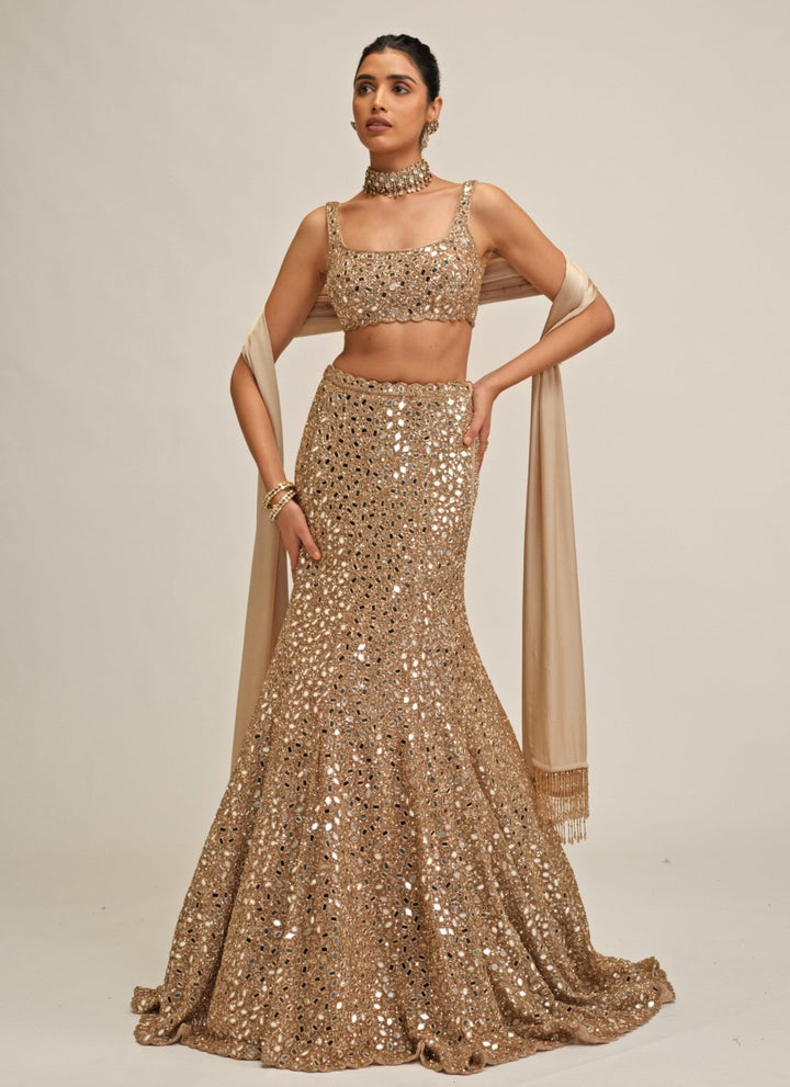 Vvani by Vani Vats Beige Gold Soft Net Mermaid LehengaFabilicious Fashion