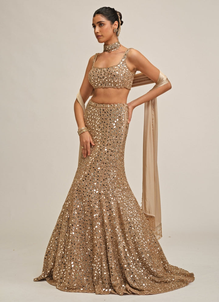 Vvani by Vani Vats Beige Gold Soft Net Mermaid LehengaFabilicious Fashion