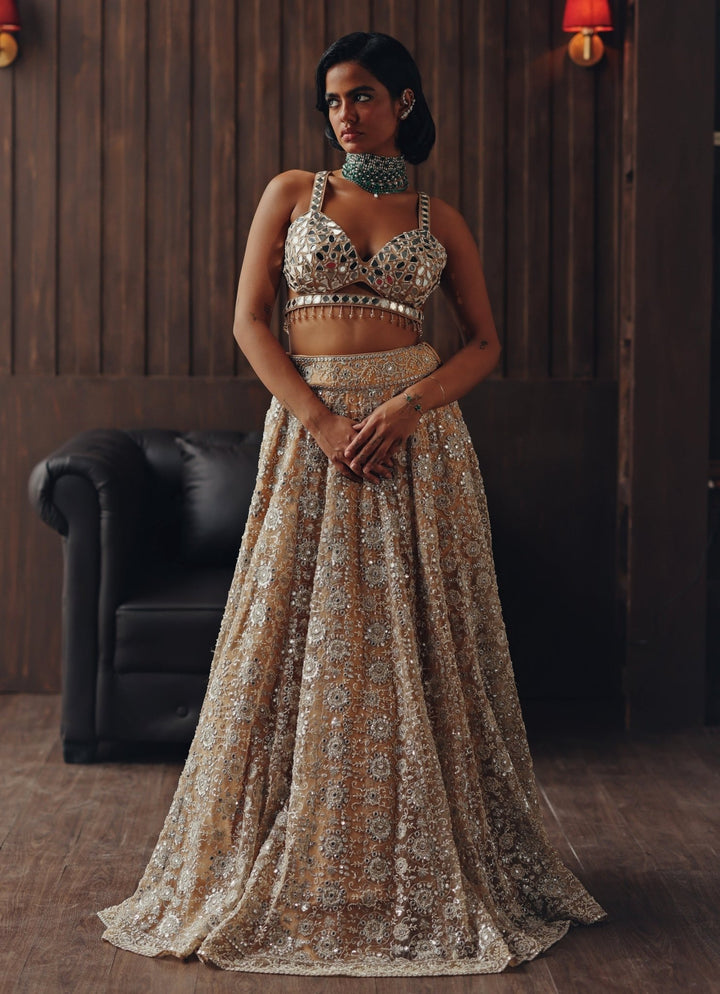 Beige Gold Soft Net Mirror Lehenga Twenty Nine - Fabilicious Fashion