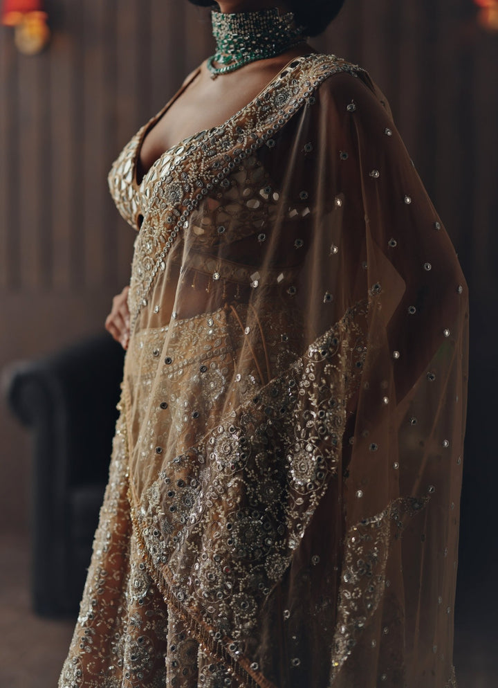 Beige Gold Soft Net Mirror Lehenga Twenty Nine - Fabilicious Fashion