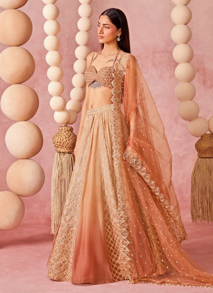 Chamee And Palak Beige Shaded Organza Lehenga SetFabilicious Fashion