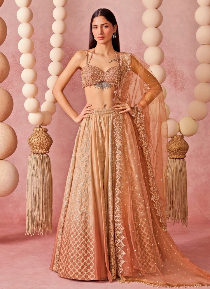 Chamee And Palak Beige Shaded Organza Lehenga SetFabilicious Fashion