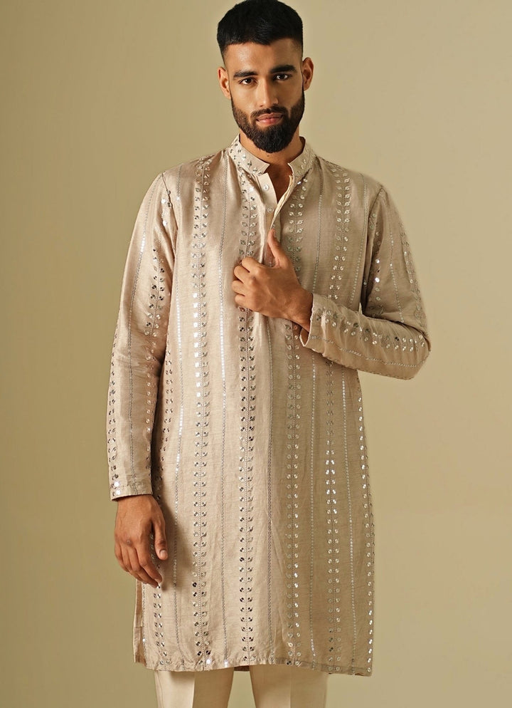 Darzi House Beige Starlit Silk Kurta SetFabilicious Fashion