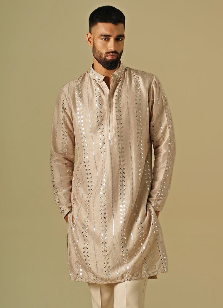 Darzi House Beige Starlit Silk Kurta SetFabilicious Fashion