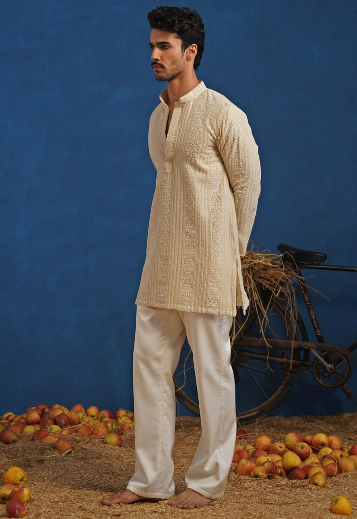 Beige Thread Tissue Short Kurta Set Kalpraag - Fabilicious Fashion