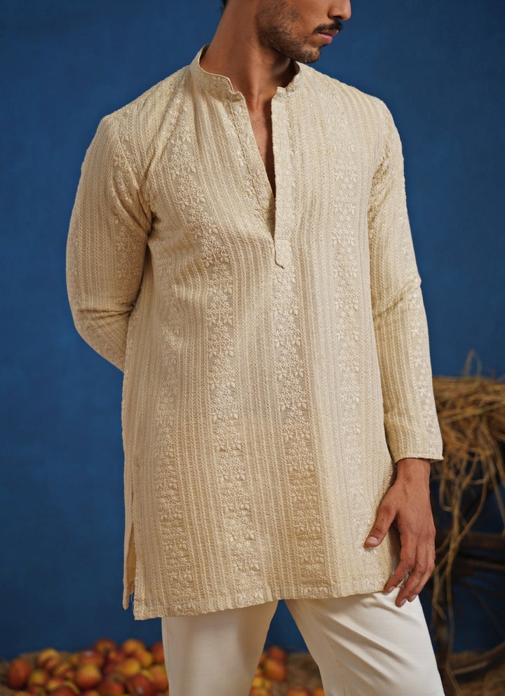 Beige Thread Tissue Short Kurta Set Kalpraag - Fabilicious Fashion