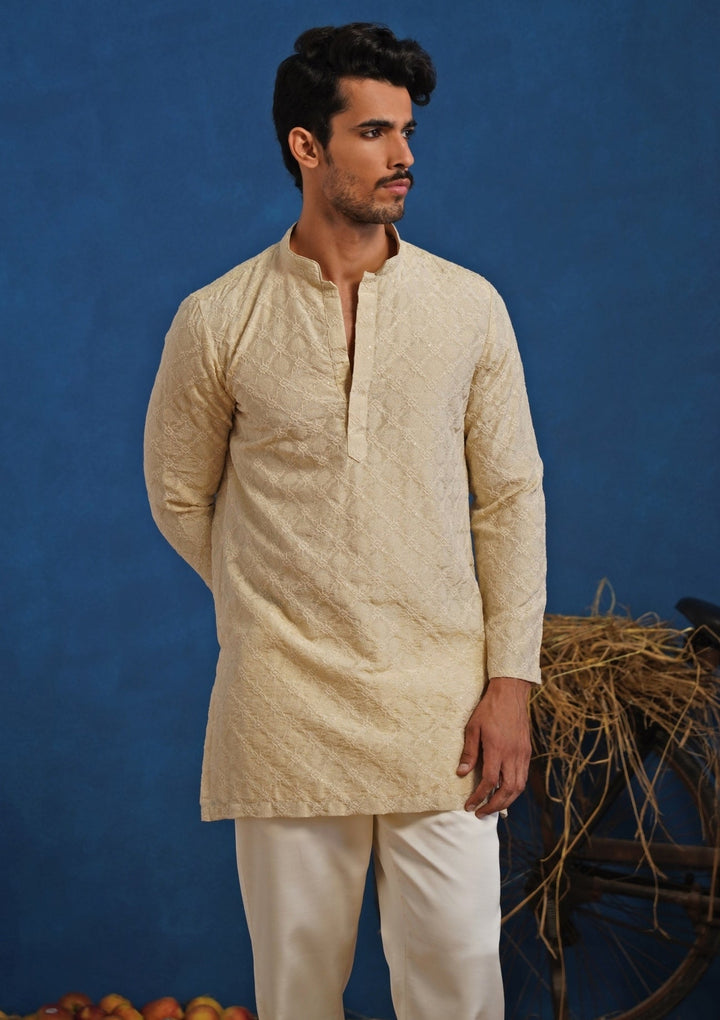 Beige Tissue Short Kurta Set Kalpraag - Fabilicious Fashion