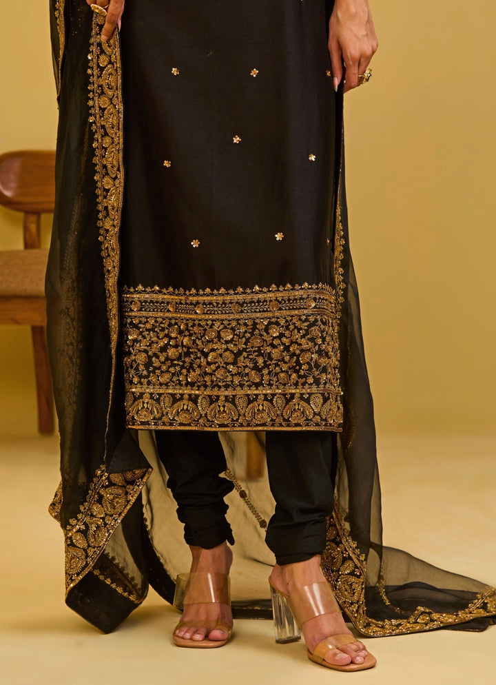 Esha Koul Black Chanderi Straight Kurta SetFabilicious Fashion