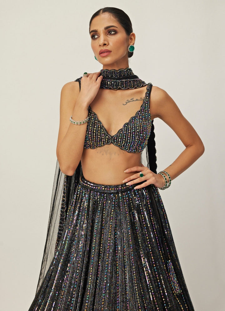 Black Crystal Linear Embroidered Organza Lehenga Set Vvani By Vani Vats - Fabilicious Fashion
