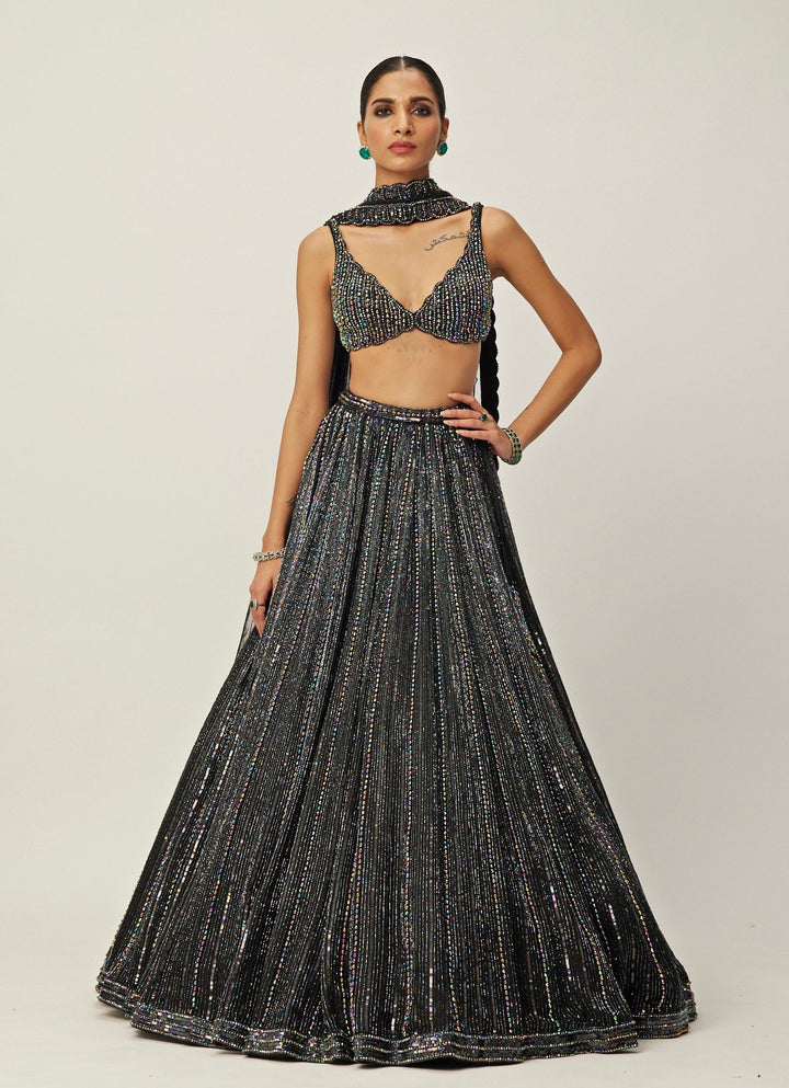 Black Crystal Linear Embroidered Organza Lehenga Set Vvani By Vani Vats - Fabilicious Fashion