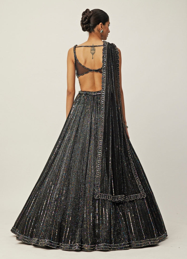 Black Crystal Linear Embroidered Organza Lehenga Set Vvani By Vani Vats - Fabilicious Fashion