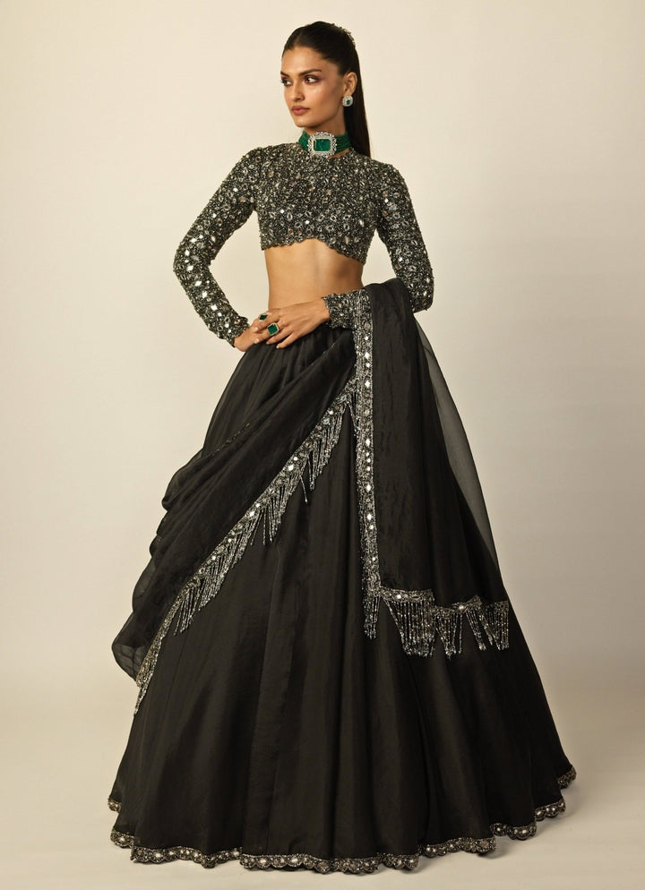 Black Embroidered Organza Lehenga Set Vvani by Vani Vats - Fabilicious Fashion