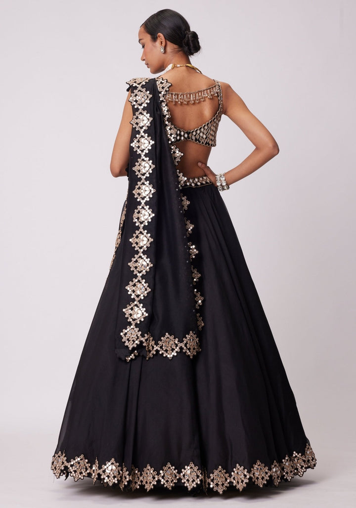 Black Organza Lehenga With Embroidered Sleeveless Blouse Vvani by Vani Vats - Fabilicious Fashion