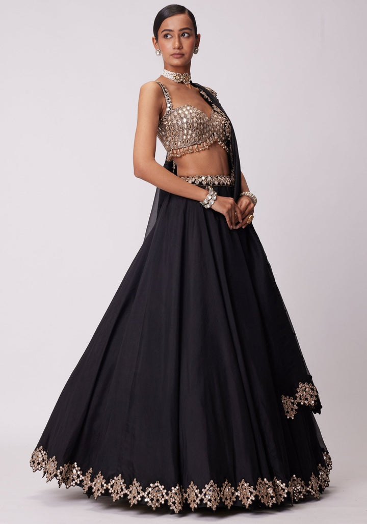 Black Organza Lehenga With Embroidered Sleeveless Blouse Vvani by Vani Vats - Fabilicious Fashion