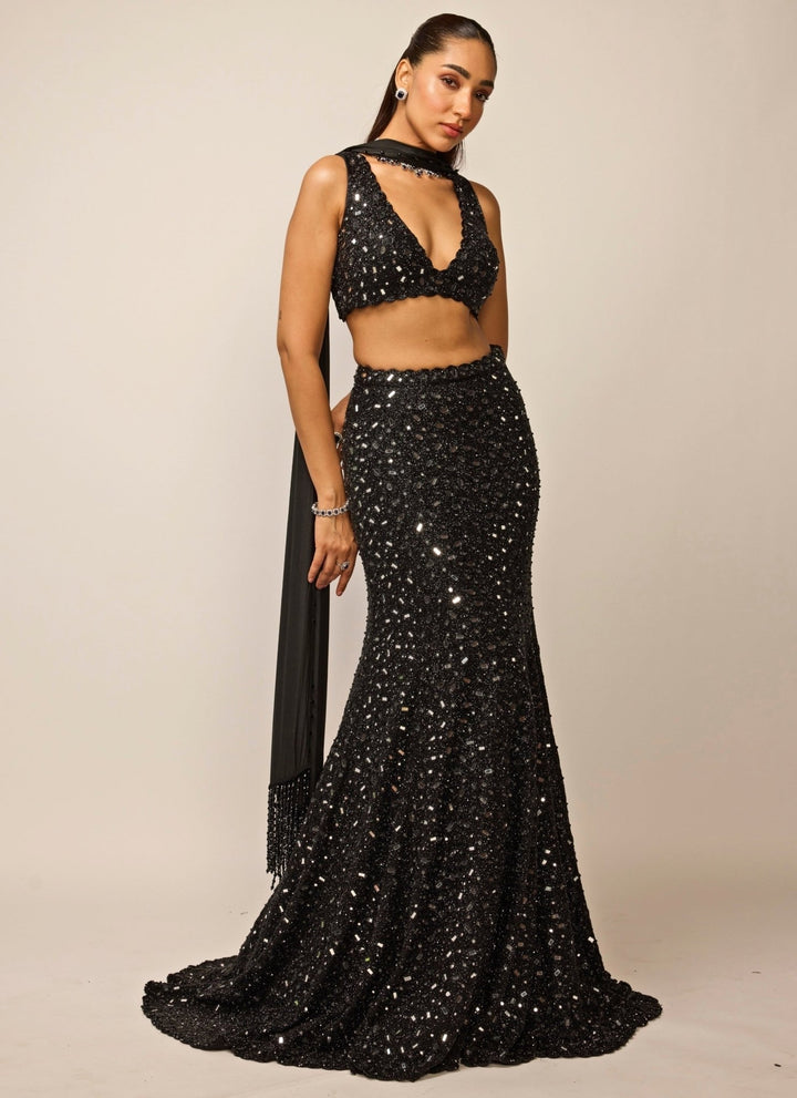 Vvani by Vani Vats Black Soft Net Mermaid Lehenga SetFabilicious Fashion