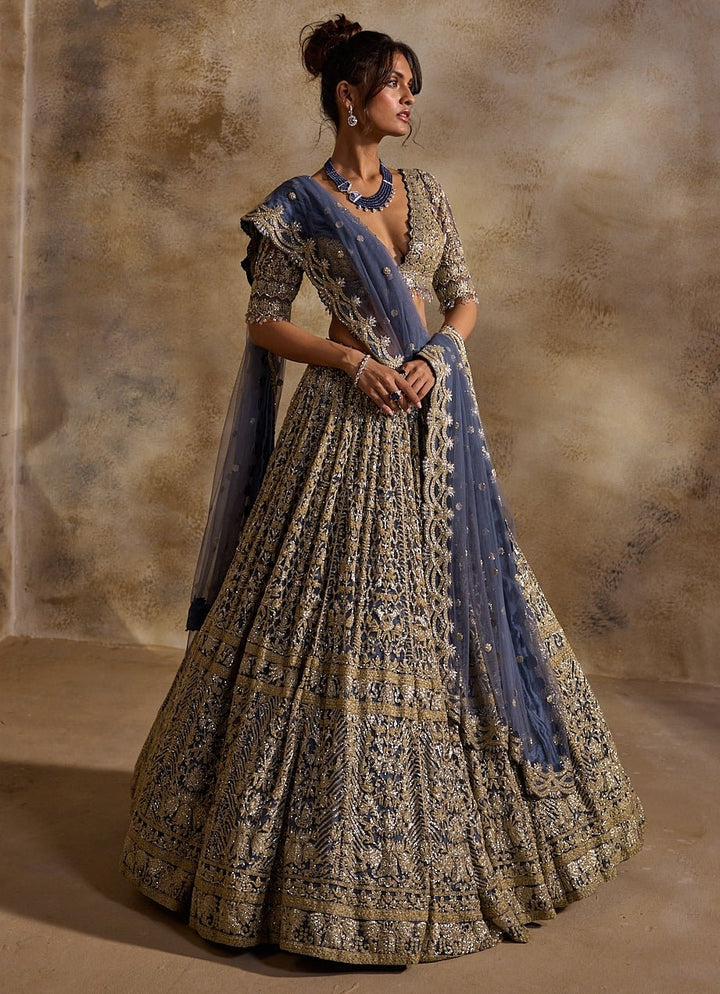 Blue And Grey Soft Net Lehenga Set Nitika Gujral - Fabilicious Fashion