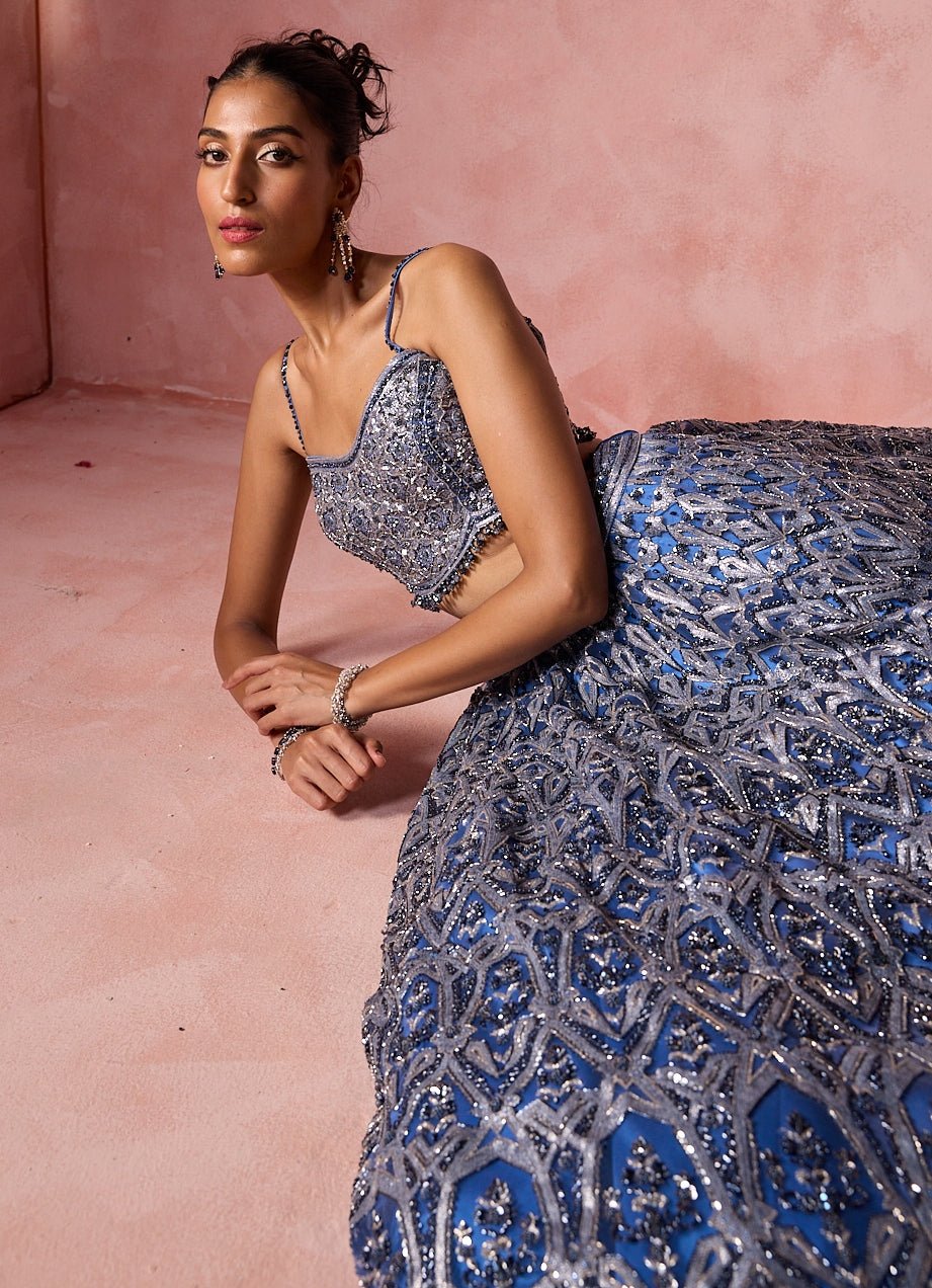 Blue And Silver Soft Net Lehenga Set Nitika Gujral - Fabilicious Fashion