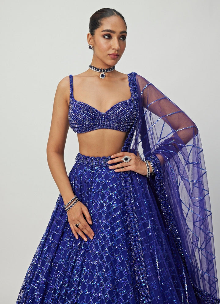 Blue Crystal And Sequin Embroidered Lehenga Set Vvani By Vani Vats - Fabilicious Fashion