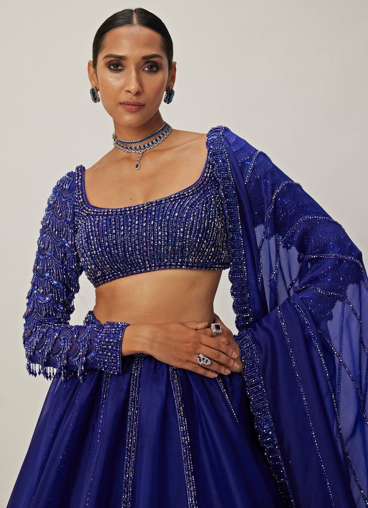 Blue Crystal And Sequin Embroidered Organza Lehenga Vvani By Vani Vats - Fabilicious Fashion