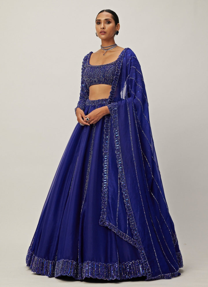 Blue Crystal And Sequin Embroidered Organza Lehenga Vvani By Vani Vats - Fabilicious Fashion
