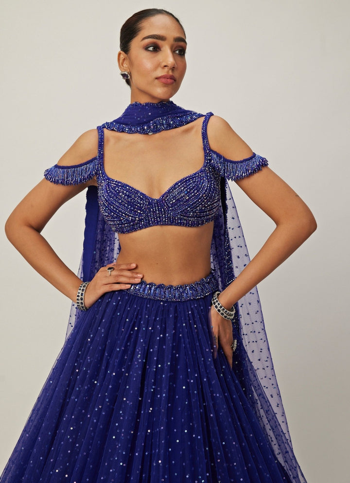 Blue Crystal And Sequin Embroidered Tulle Lehenga Set Vvani By Vani Vats - Fabilicious Fashion