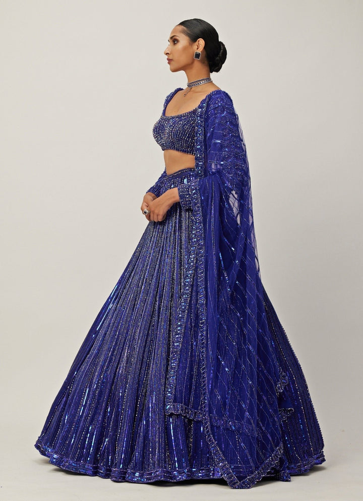Blue Crystal Linear Embroidered Georgette Lehenga Set Vvani By Vani Vats - Fabilicious Fashion