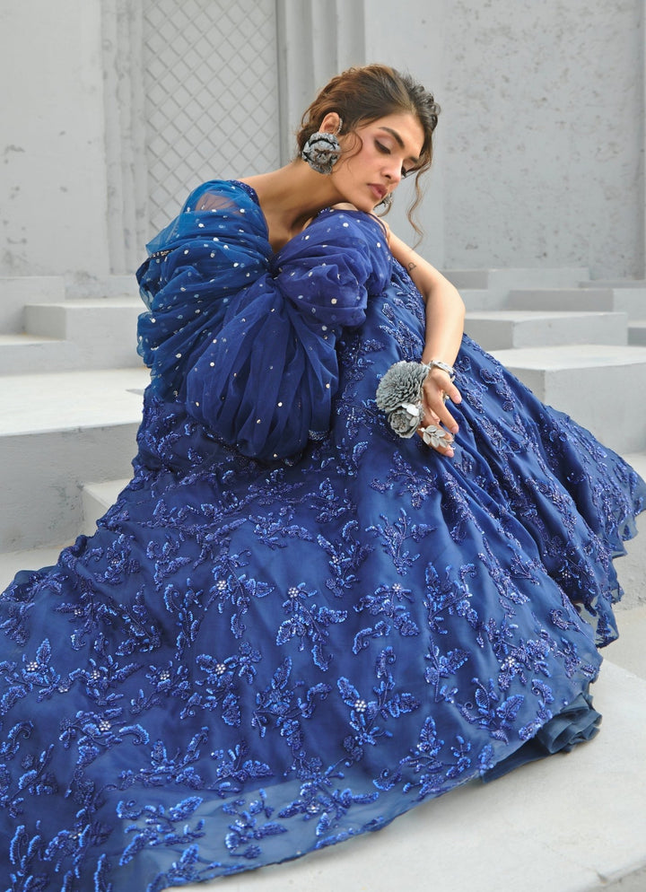 Blue Embroidered Organza Lehenga Chamee and Palak - Fabilicious Fashion