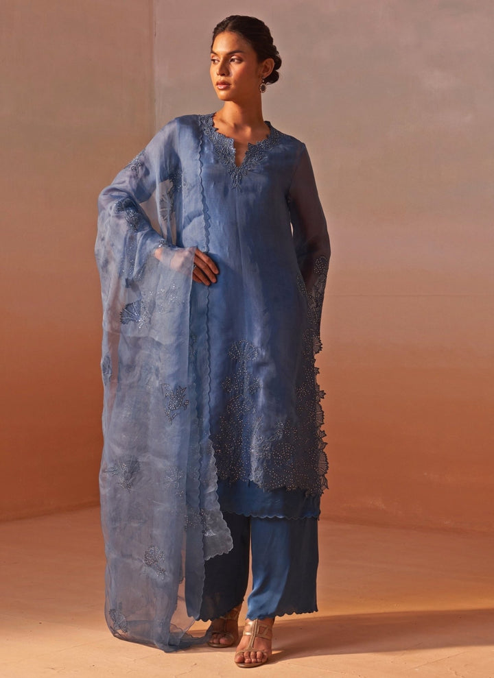 Nitika Gujral Blue Organza Kurta Pants SetFabilicious Fashion