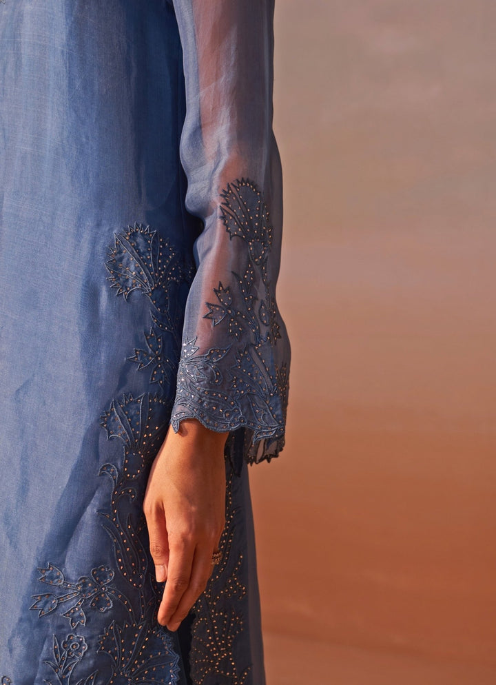 Nitika Gujral Blue Organza Kurta Pants SetFabilicious Fashion