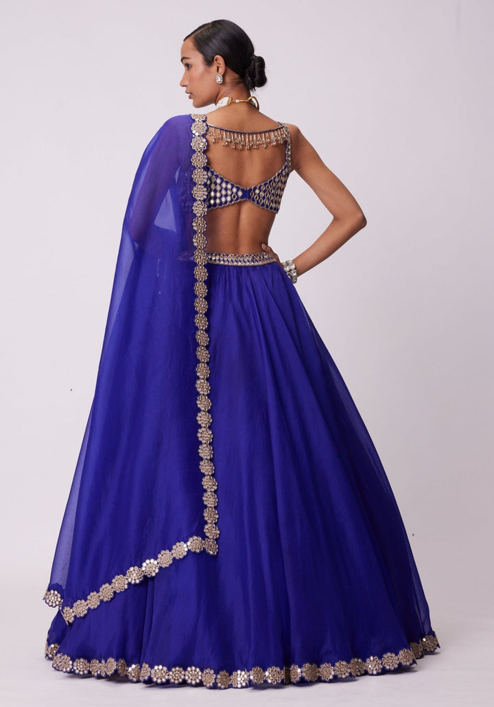 Blue Organza Lehenga With Embroidered Sleeveless Blouse Vvani by Vani Vats - Fabilicious Fashion