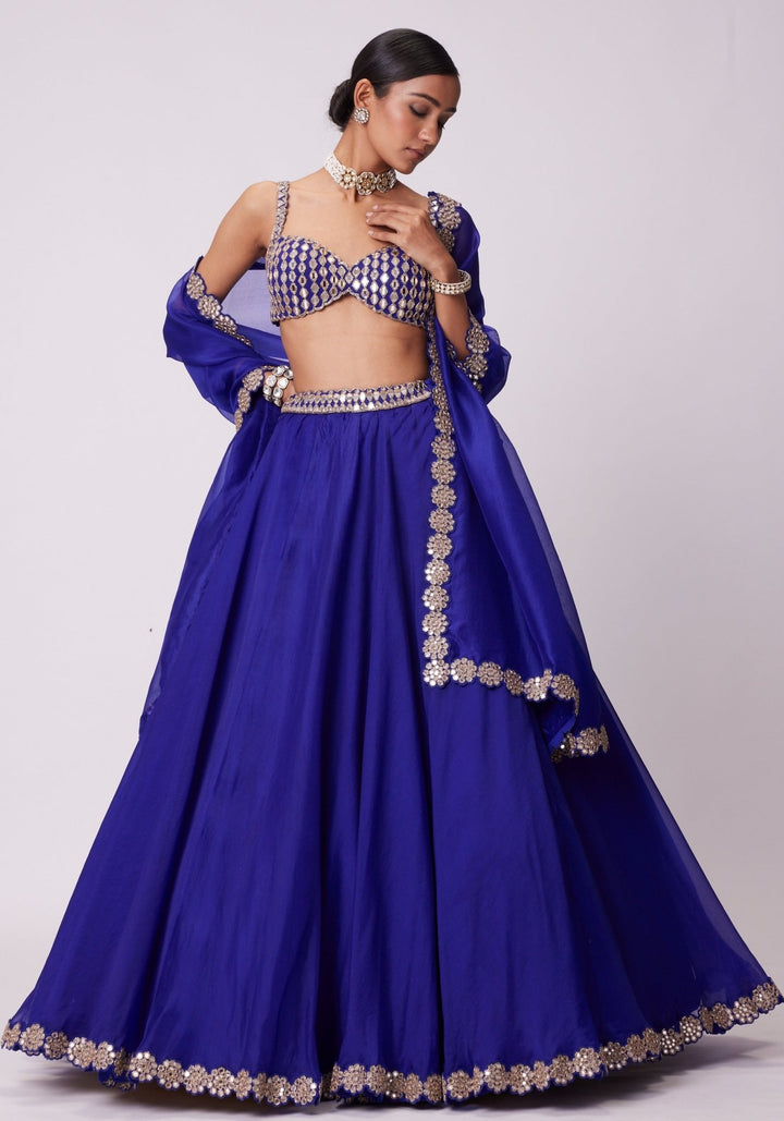 Blue Organza Lehenga With Embroidered Sleeveless Blouse Vvani by Vani Vats - Fabilicious Fashion