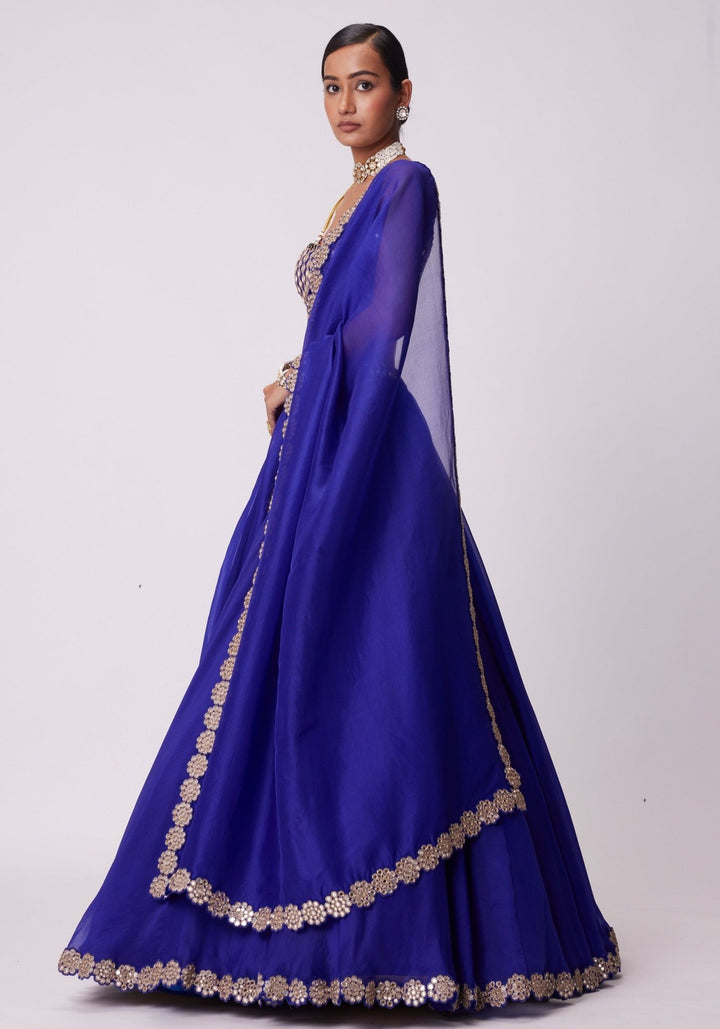 Blue Organza Lehenga With Embroidered Sleeveless Blouse Vvani by Vani Vats - Fabilicious Fashion