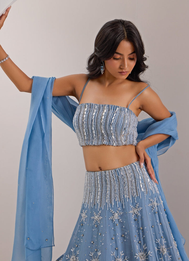 Blue Snowflake Embellished Organza Lehenga With Veil Silky Bindra - Fabilicious Fashion